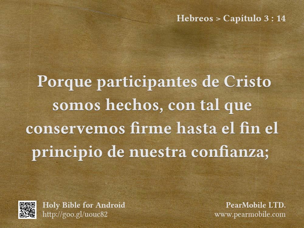 Hebreos, Capítulo 3:14